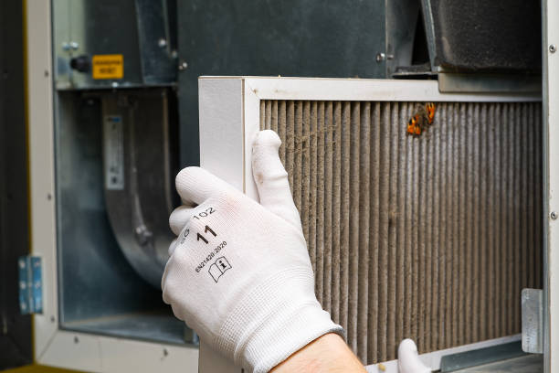 Best Affordable Air Duct Cleaning  in Dock Junction, GA